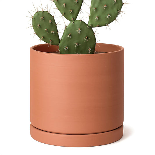 D'vine Dev Medium 8 Inch Terracotta Plant Pot with Drainage Hole and Saucer, Round Cylinder Planter Pot for Indoor Plants, 40-X-A-4