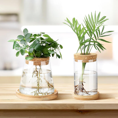 Layhit 4 Pcs Plants Propagation Stations vases Glass Planters with Wooden Lid and Bamboo Stand for Hydroponic Plants Gardening Gifts for Women Mom Home Office Tabletop Decoration(Stylish Style)