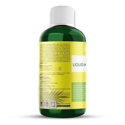 Organic Premium Kelp Seaweed Fertilizer for Jasmin - Liquid Fertilizer - Liquid Plant Food - Nutrient-Rich Soil Enhancer - Natural Plant Food for Jasmin (16 OZ)