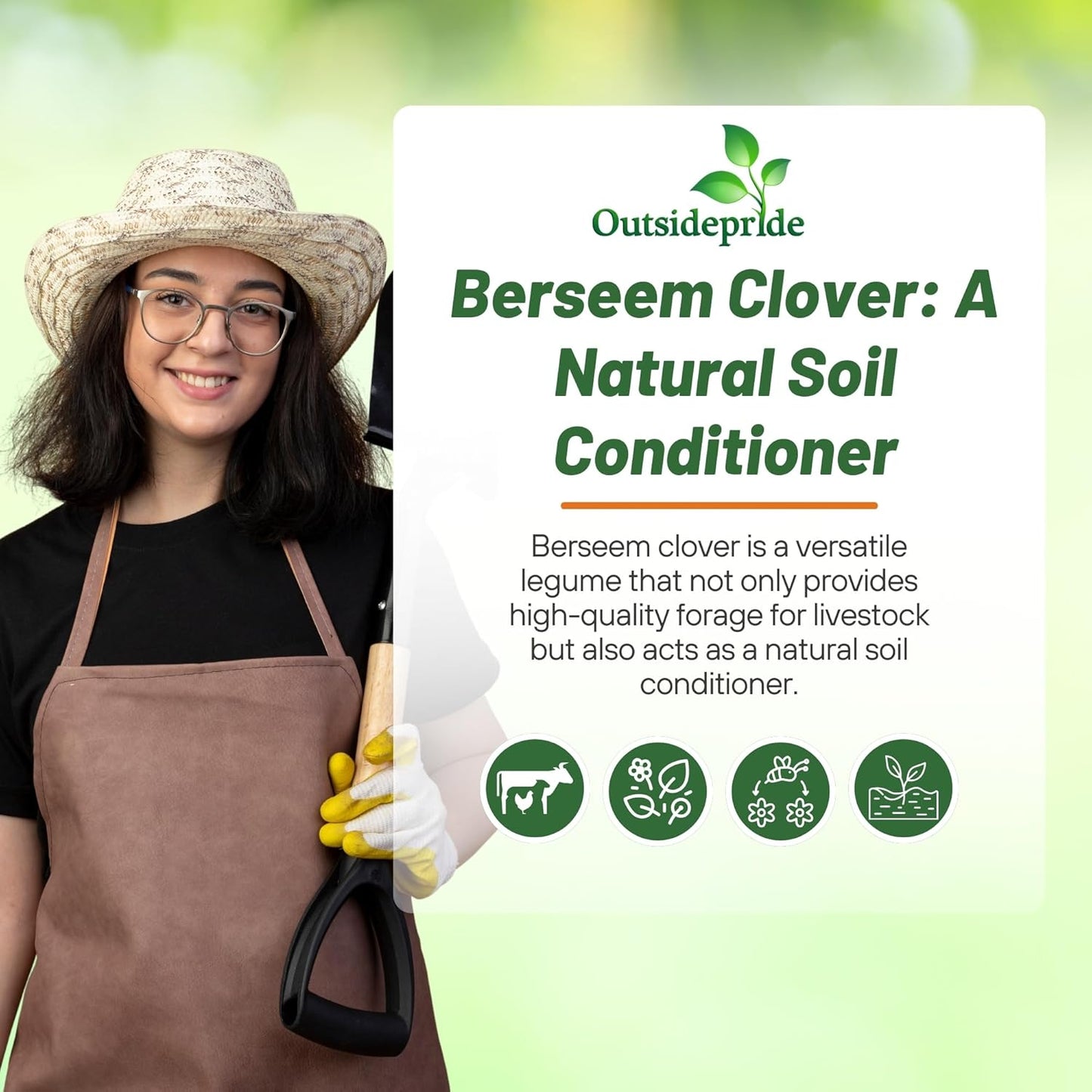 Outsidepride Annual Berseem Clover Seeds for Lawn - 50 lbs. High-Yield, Fast-Growing Clover Cover Crop Seeds for Food Plots, Cattle Forage & Nitrogen-Rich – Ideal for Pastures & Soil Improvement