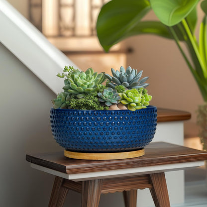 Bonsai Pots - 8 Inch Ceramic Pots for Succulent Plants & Bonsai Tree, Planter with Drainage Hole and Saucer, Modern Round Decorative Flower Planters, House Decor, Gifts for Women Man, Blue