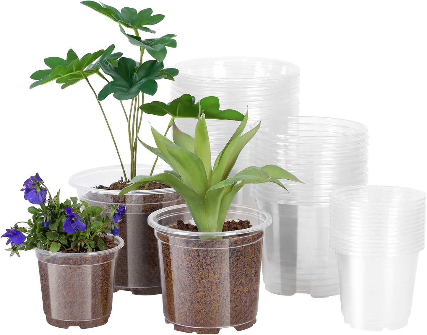 JERIA 30 Pack 6/5/4Inch Clear Nursery Pots with Drainage Holes, Clear Plant Pot for Planting, Transparent Plastic Plant Pots,Durable Seed Starting Pot for Succulents