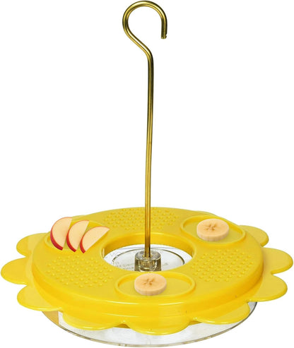 Birds Choice Flutterby Butterfly Feeder – Outdoor Feeder with 12 oz. Nectar Capacity and Fruit Trays, Includes Brass Hanging Rod