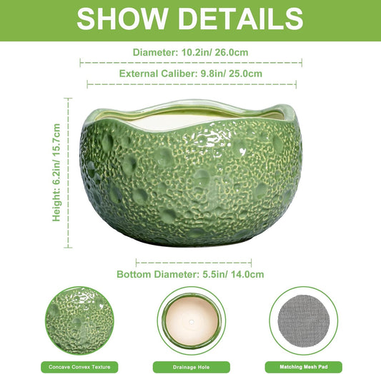 Ceramic Pots for Plants - 10 Inch Plant Pot for Indoor Outdoor, Round Bonsai Pots with Drainage Hole, Modern Planter, Decorative Flower Pot, Living Room Decor, Gifts for Plant Lovers, Green