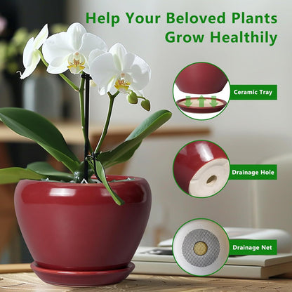 Ceramic Planter - 8 Inch Plant Pot Indoor with Drainage Hole and Saucer Planter for Outdoor Plants Round Flower Pot for House Patio Decor Red