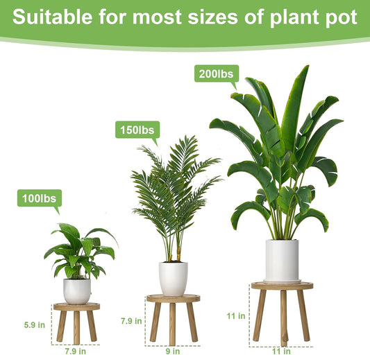 3-Pack Wood Plant Stands Indoor, Single Plant Stand for 6-12 Inch Pots, Mid-Century Modern Plant Stool, Tall Plant Stand for Large Plants for Living Room, Balcony, Office (Light Brown