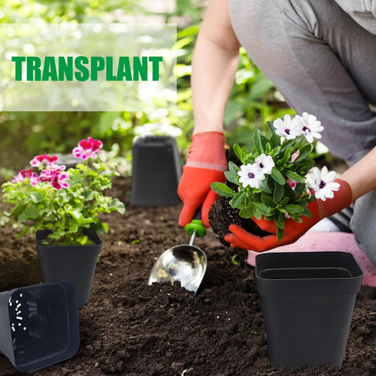 Square Nursery Pots Clearance (2.7", 3", 3.5", 4") with Drainage Holes 20 Pcs, Plastic Seed Starting Pots, Sturdy and Durable Seedling Pots for Planting, Cuttings and Transplanting, Black