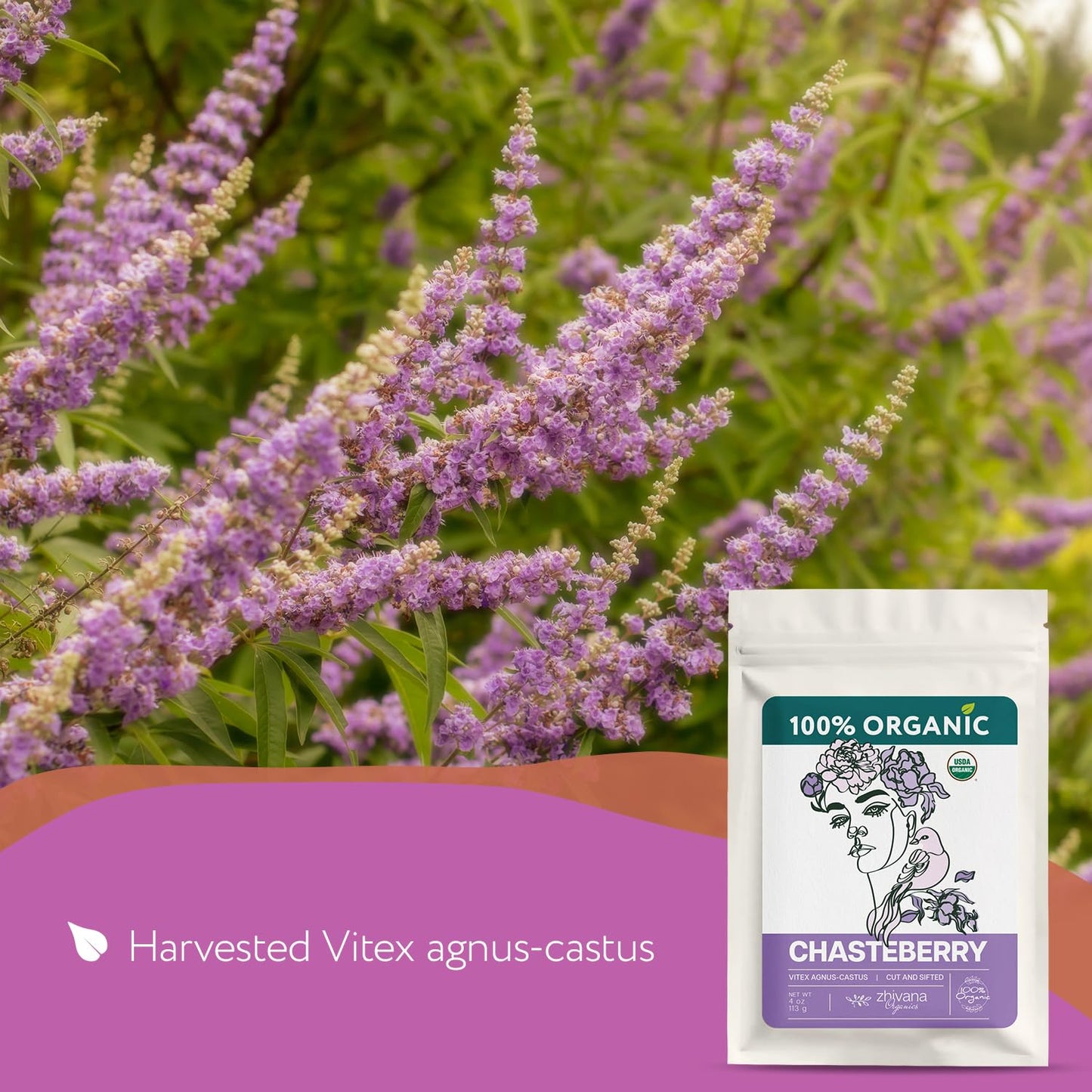 Super Value Pack 5 LB - Organic Chasteberry (Vitex) – Whole Dried Berries – Edible Grade for Tea, Tinctures & Herbal Crafts