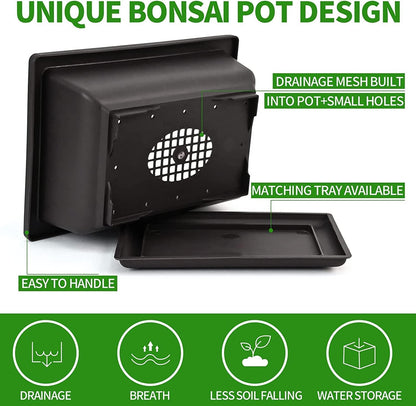 5 Bonsai Tree Kit Complete Plant Growing Tools, Grow in Pot Indoor Bonsai Tree Starter Kit, Great Home Gardening Potted Plants DIY Gift for Adults