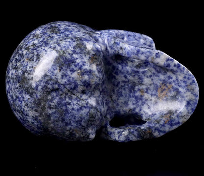 Skullis 5.0" Blue Speckled Sodalite Crystal Skull, Hand Carved Gemstone Fine Art Sculpture, Reiki Healing Stone Statue. z8