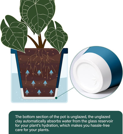 D'vine Dev 6 Inch Design Self Watering Planter for Indoor Plants, Blue Terracotta Pot with Cylinder Glass Cup, Set of 2, 37-Y-B-4