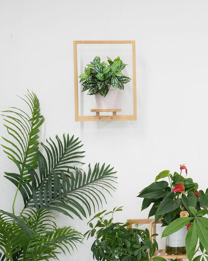 yadoker Wall Planters for Indoor Plants,Bamboo Hanging Plant Holders, Wall Decor Plant Stand, 3-Pack Window Plant Shelves for Living Room & Entryway