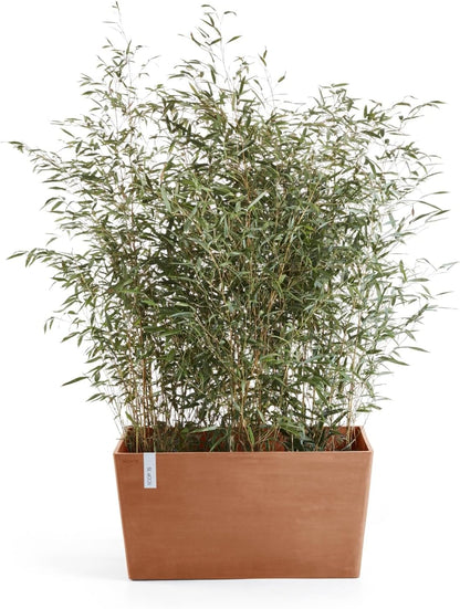 Ecopots Paris Large Rectangle Planter - 31.5 in x 15 in x 15.7 in - Terracotta