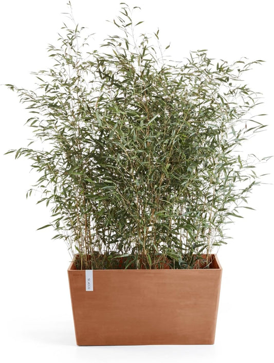 Ecopots Paris Large Rectangle Planter - 31.5 in x 15 in x 15.7 in - Terracotta