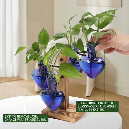 Plants Propagation Stations Plant Terrarium Kit Glass Planters for Indoor Plants House Plant Accessories Gift for Women - 4 Love Vase