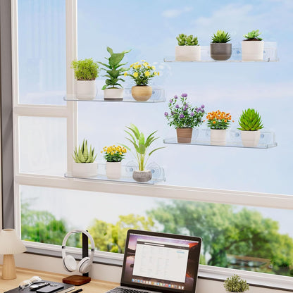 Lifewit Window Plant Floating Shelves 15 x 4 inch, 4 Pack Acrylic Suction Cup Shelf, Window Sill Extender for Indoor Succulent Plants, Micro Greens, Seed Starter Pots, Herb Planters
