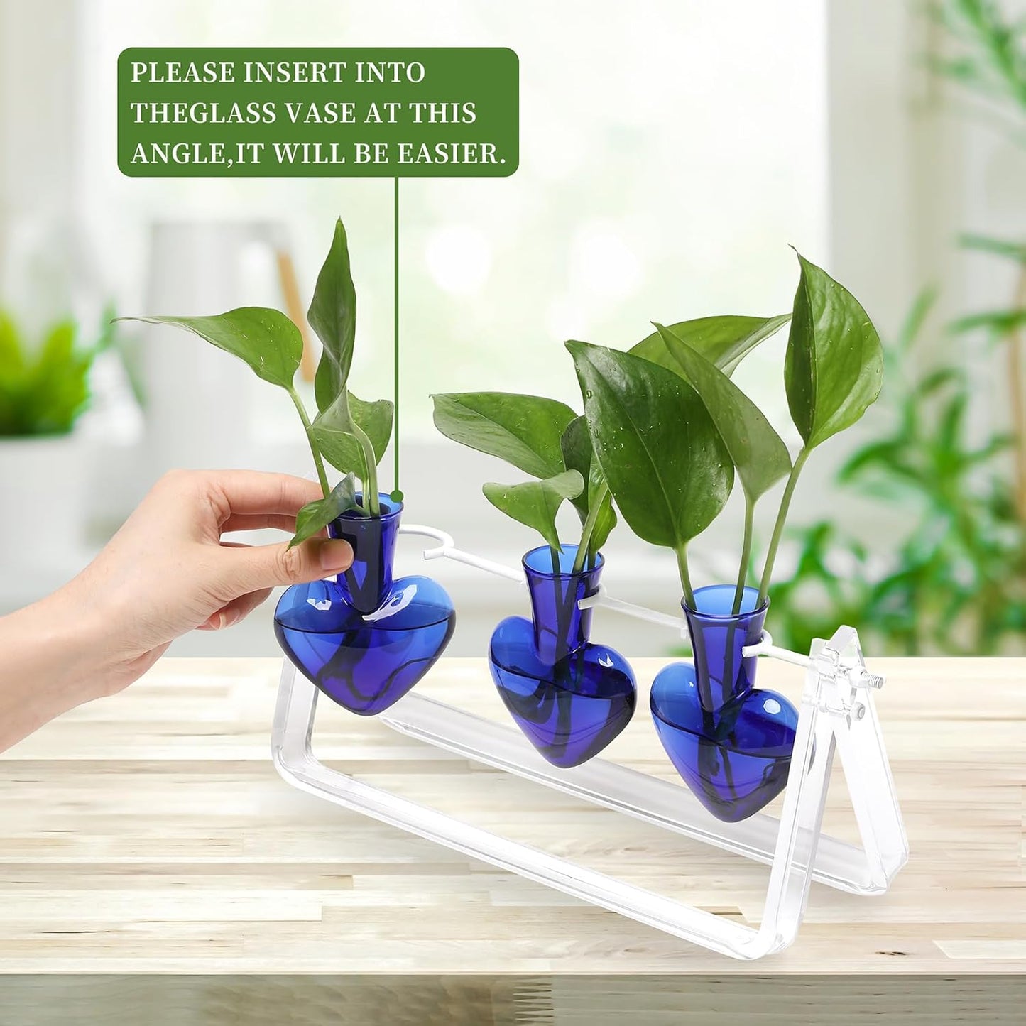 Plant Terrarium Propagation Stations with Wooden Stand Birthday Gifts for Women Plant Stand Indoor Office Home Decor