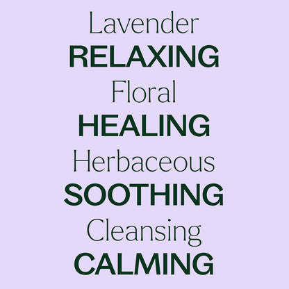 Plant Therapy Organic Lavender Essential Oil 100% Pure, USDA Certified Organic, Undiluted, Natural Aromatherapy, Therapeutic Grade 10 mL (1/3 oz)
