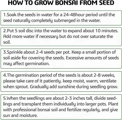 5 Bonsai Tree Kit Complete Plant Growing Tools, Grow in Pot Indoor Bonsai Tree Starter Kit, Great Home Gardening Potted Plants DIY Gift for Adults