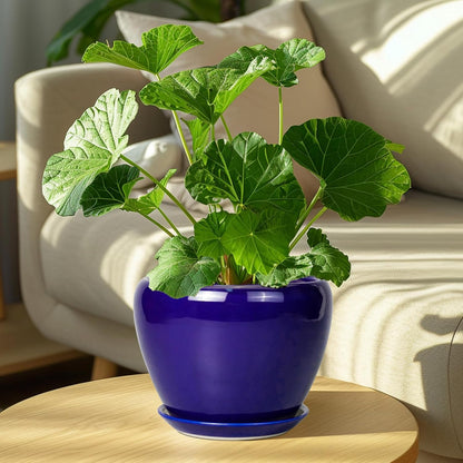 Ceramic Plant Pot 8 Inch - Planter for Outdoor Plants Indoor Plant Pot with Drainage Hole and Saucer Decorative Round Planter Modern Flower Pot for House Decor Blue