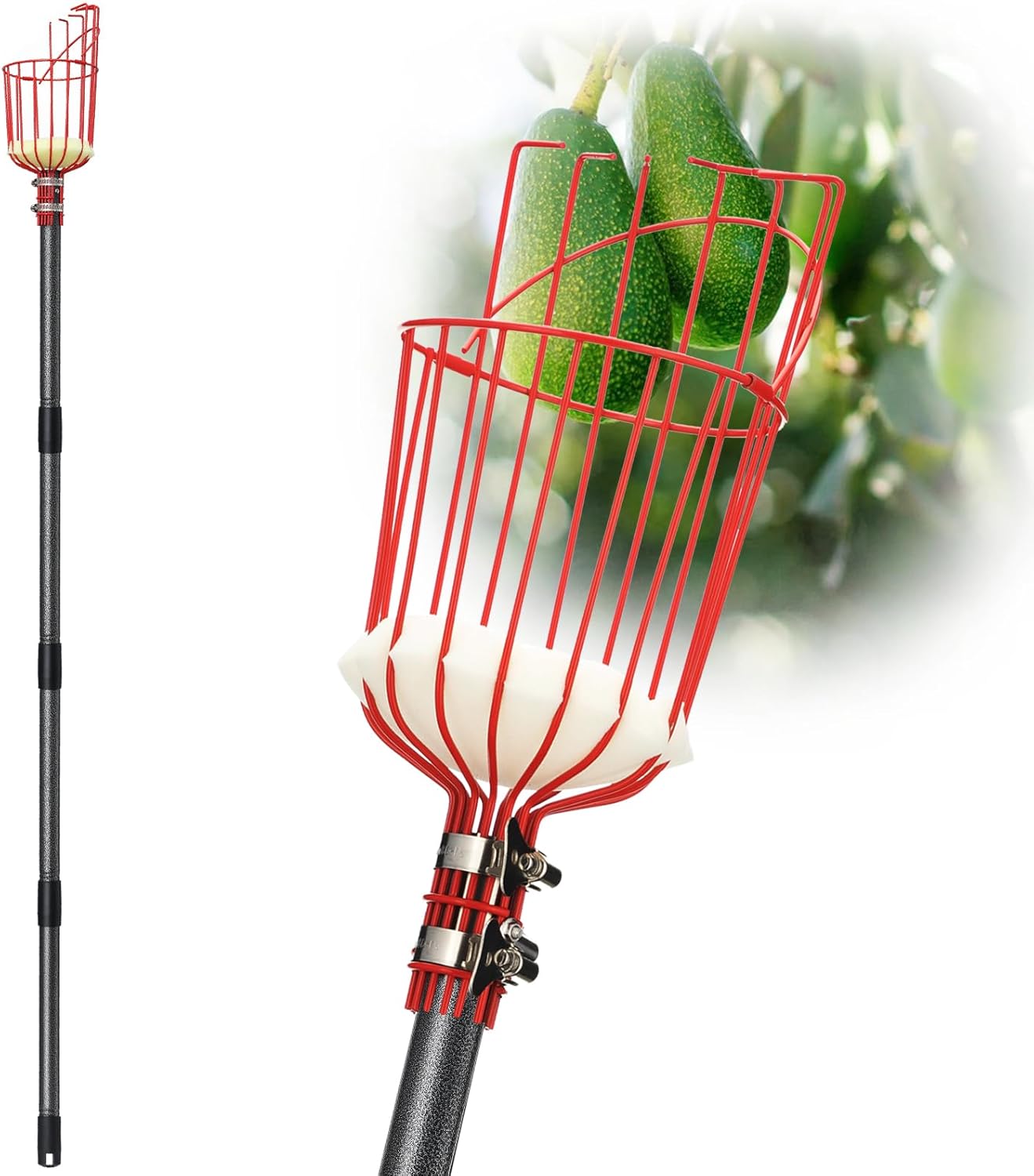 DonSail Fruit Picker Pole Tool with Basket Telescoping - Adjustable Mango Picker 35-120 inch Long Handle - Apple Orange Avocado Acorn Lemon Pear Pomelo Chery Picker for Tree
