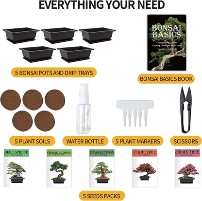 Bonsai Tree Kit with Complete Plant Growing Tools, Grow in Pot Indoor Bonsai Tree Starter Kit, Home Gardening DIY Gift for Adult