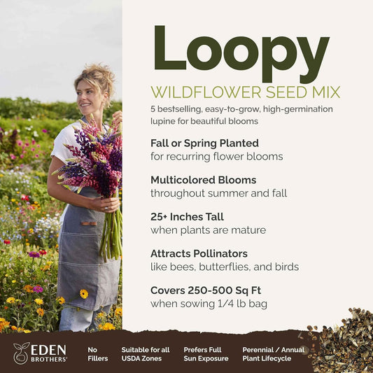 Eden Brothers Lupine Flower Mixed Seeds for Planting, 1/4 lb, 120,000+ Seeds with Russell, Arroyo, Yellow, Sky Lupine | Attracts Pollinators, Plant in Spring or Fall, Zones 3, 4, 5, 6, 7, 8, 9, 10