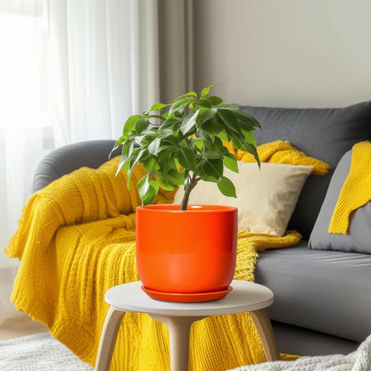 Ceramic Pot for Plants - 8 Inch Plant Pot with Drainage Hole and Saucer, Cylinder Modern Round Planter for Indoor Outdoor Plants, Housewarming Gifts, Office Home Garden Decor, Orange