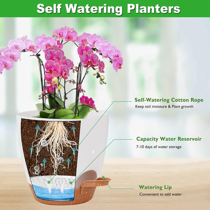 6 Inch Orchid Pots with Holes, 3 Pack Self Watering Planters for Orchids Plastic Orchid Pot Plant Flower Pots for Orchids Indoor Outdoor (Multicolor)