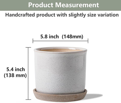 5.8 Inch Plant Pot: Ceramic Planter with Drainage Hole & Saucer - Cylinder Round Flowerpot for Indoor & Outdoor Plants - with Separate Tray for Home & Office - Retro Style, Grey