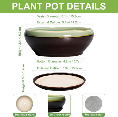 SQOWL Succulent Pots 6 Inch - Shallow Ceramic Planter, Bonsai Pot with Drainage Hole and Saucer, Round Ceramic Succulent Planter for Indoor Outdoor Plant, Kitchen Decor, Plant Lover Gift, Green-Brown