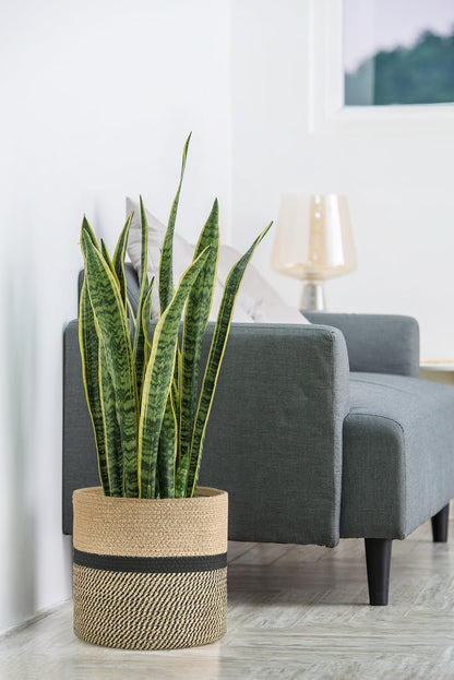 Dahey Jute Rope Plant Basket Modern Woven Storage Basket for 12" Indoor Planter, Decorative Flower Pots Cover Laundry Bin with Handle Rustic Home Decor, Black