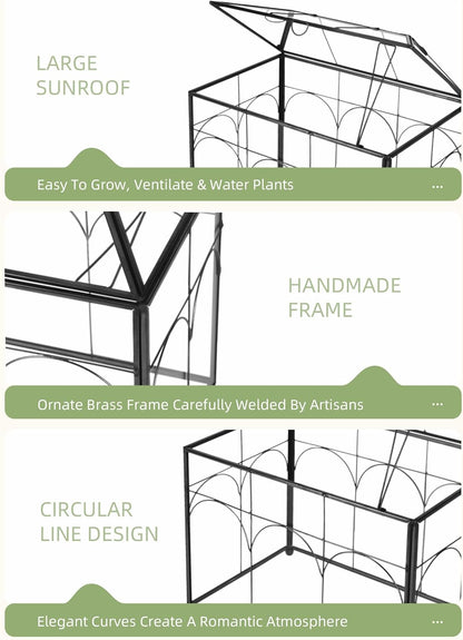 Handmade Glass Planter Terrarium with Lid, Indoor Tabletop Centerpiece Display Box Modern Decor DIY Gift Plant Terrarium Container for Succulent Cacti Air Plants Flower (Black)