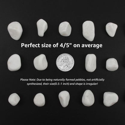 20 lbs White Polished Garden Stones, 0.5-1 Inch Decorative Rocks for Landscaping, Pathways, Yard Borders, Pots, Aquarium Decoration, and DIY Craft Projects (Pure White, Weight: 20 LB)