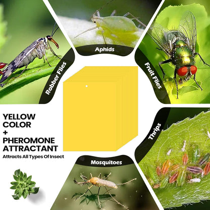 Qualirey 150 Pcs 6 x 8 Inch Sticky Traps for Plant Double Sided Sticky Trap for Gnats with Twist Ties Fly Traps for Fruit Insect Fungus Bugs Indoor Outdoor (Yellow)