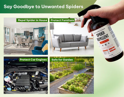 Kate's Home & Garden Spider Repellent Indoor. All Natural Peppermint Oil Spray for Spiders & Outdoor (16oz, Non Toxic Pesticide & Insecticide, Pet Safe)