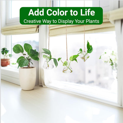 Glass Hanging Planter Plant Terrarium Hanging Propagation Station Container for Hydroponic Plants Home Garden Decor 3 Type