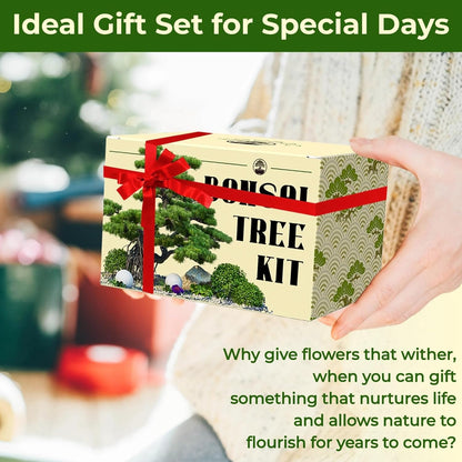 5 Types Bonsai Tree kit - Bonsai Starter Tools Set with Soil, Pots, Scissor, Plant Makers, Grow Tree Indoor, Beginner Plant Gifts for Home Garden, Women, Men
