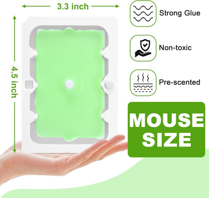 Qualirey 12 Pack Mouse Glue Trap, Super Sticky Traps Mouse Size for Mice and Rats, Pre-Scented, Non Toxic Mice Glue Boards, Rodent Sticky Pads Indoor for Home, Easy to Use, Pet Safe Pest Control