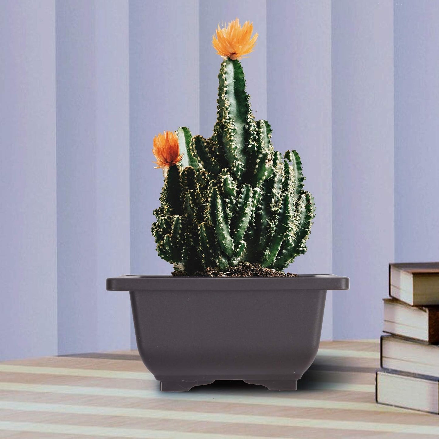 KINJOEK 15 PCS 6.7 Inch Plant Pot, Square Plastic Bonsai Training Pots, Flower Succulent Pots Container for Garden, Indoor, Home Decorative