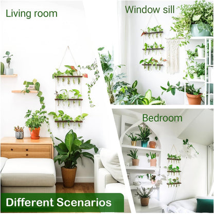 Ivolador Hanging Plant Propagation Tubes,3 Tiered Wall Hanging Terrarium Flower Planter Vase for Hydroponic Plants Cutting Home Office Garden Decor Plant Lover Gift