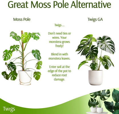 Stackable Monstera Plant Support Stakes, Climbing Plants Support Structures for Indoor & Outdoor Use, Garden Accessories, Alternative to Moss Pole - Monstera Green, 5 Pack, 17" L
