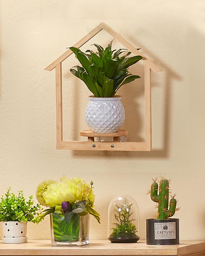 yadoker Wall Planters for Indoor Plants,Bamboo Hanging Plant Holders in a House Shape, Wall Decor Plant Stand, 3-Pack Window Plant Shelves for Living Room & Entryway