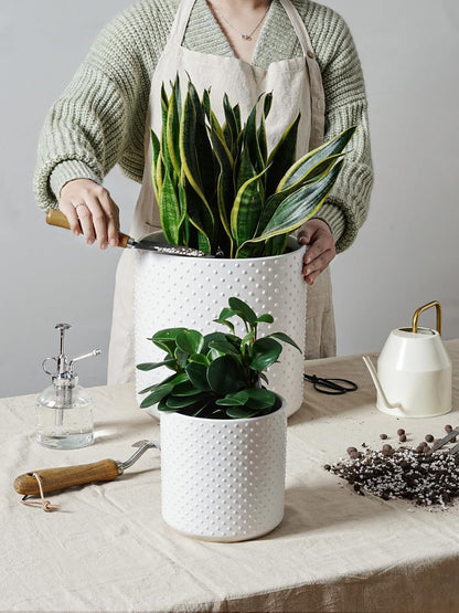LE TAUCI Ceramic Plant Pots Indoor, 10+8+6 Inch Planters for Indoor Plants, Raised Dots Flower Pots with Drainage Hole and Plug, Cylinder Round Planters, Set of 3, White