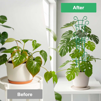 Plant Trellis for Potted Plants 4 Pack Stackable Indoor Outdoor Climbing Houseplant Support with Garden Wire for Pothos Hoya Ivy Flower