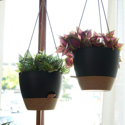 10 Inch Self Watering Hanging Pots, 2 Pack Hanging Planters with 40oZ Deep Reservior for Indoor Outdoor Plants Flowers, Black with Brown