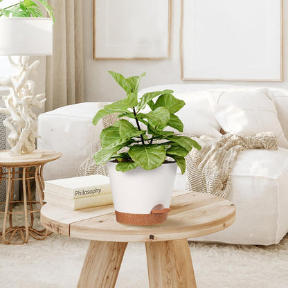 Plant Pots Outdoor 8/7.5/7/6.5/6/5.5/5Inch 7Pack, Planting Pots for All House Plants White Plastic Planters Outdoor Flower Pots Nursery Planting Pot with Drainage Hole and Deep Reservoir