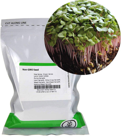 Radish Sprouting & Microgreens Seeds – Red Arrow Variety – 1 LB – Non-GMO, Heirloom – Fast-Growing, Spicy Radish Sprouts & Vibrant Micro Greens for Salads, Sandwiches, Smoothies & Indoor Gardening