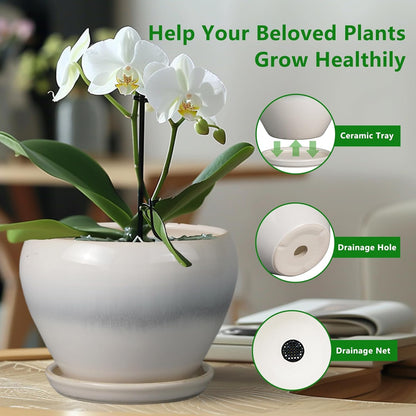 10 Inch Ceramic Planter Pot - Large Plant Pot with Drainage Hole and Saucer Round Flower Pot for Indoor Plants, White