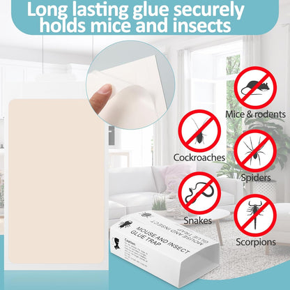Qualirey Mouse and Insect Glue Boards Pest Glue Traps Bulk Large Mouse Rat Trap Sticky Adhesive for Mice Spider Moth Cockroaches Cricket House Indoor Outdoor Non Toxic(100 Pcs,9.72 x 5.12 Inch)